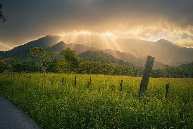 Half Day El Yunque Tour, Waterslide and Rope Swing - Key things to know before you go