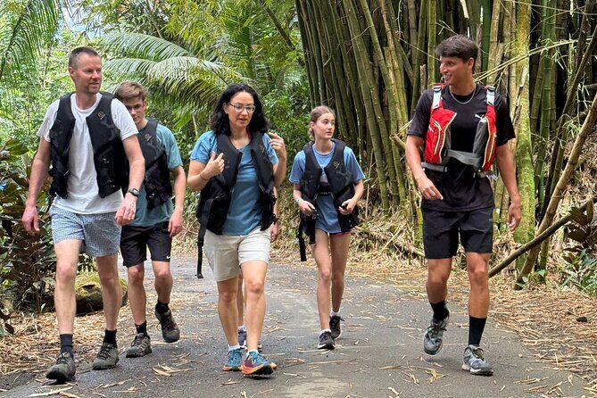 Half Day El Yunque Tour, Waterslide and Rope Swing - Weather and River Conditions: The Part That Can Change Your Plan