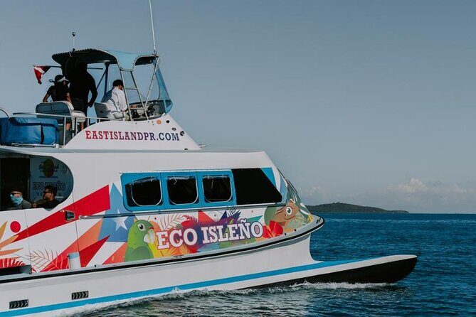 Half Day Icacos Island with Roundtrip Transport from San Juan - Snorkeling at Icacos: gear, guidance, and sea-condition limits