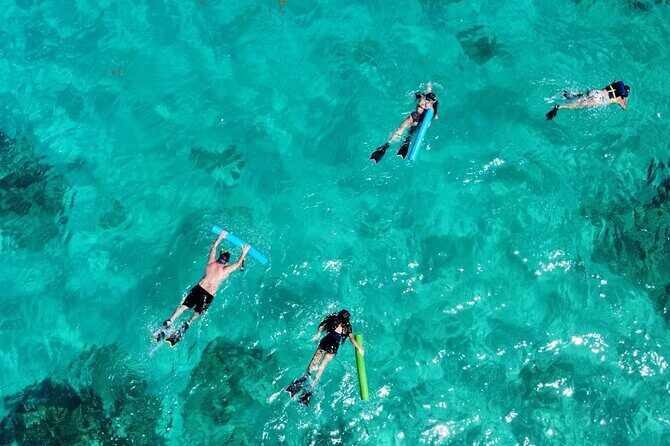Half-Day Private Boat Experience – Appetizers & Drinks Included - What You Might See: Nighttime Marine Life Highlights