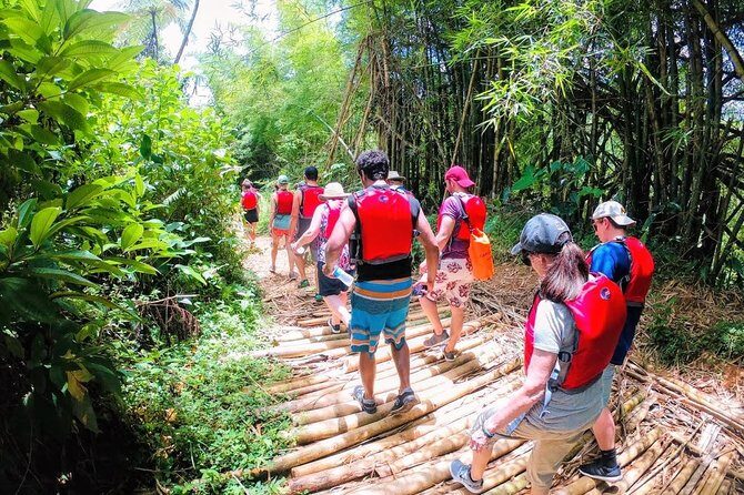 Half-Day: Rainforest and Waterslide Adventure with Transportation - Natural pools and waterfalls: where the adventure turns playful