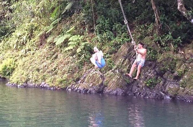 Half-Day Rainforest Tour with Transport from San Juan - San Juan pickup and a tight 4-hour window