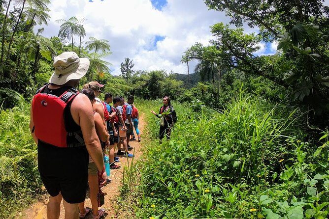 Half-Day Tour: El Yunque Rainforest and Waterslide Adventure - Key highlights to know before you go