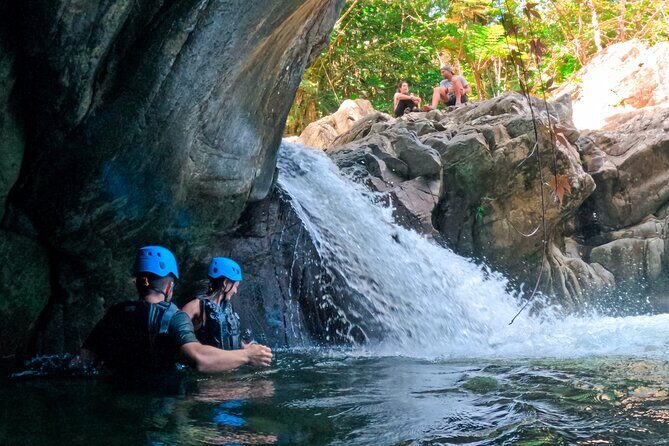 Half-Day Tour: El Yunque Rainforest and Waterslide Adventure - Walking into El Yunque: the part that builds the payoff