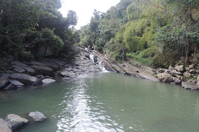 Half-Day Tour: El Yunque, Waterslides, and Luquillo Beach - El Yunque at Las Pailas: the short rainforest hike that leads to action