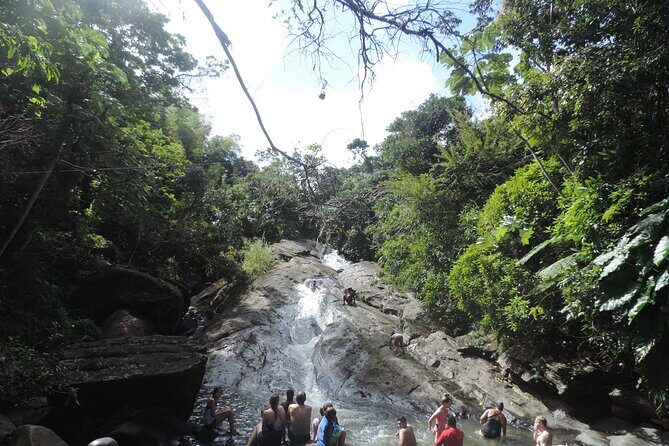Half-Day Tour: El Yunque, Waterslides, and Luquillo Beach - Who this tour is best for (and who should rethink it)