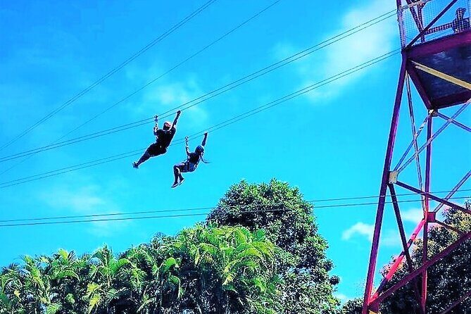 Half Day Tour in Rainforest Zipline Park with Transportation - Quick Hits Before You Go