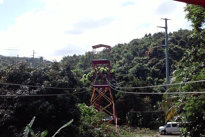 Half Day Tour in Rainforest Zipline Park with Transportation - Price and Value: Does $149 Make Sense for a Half-Day?