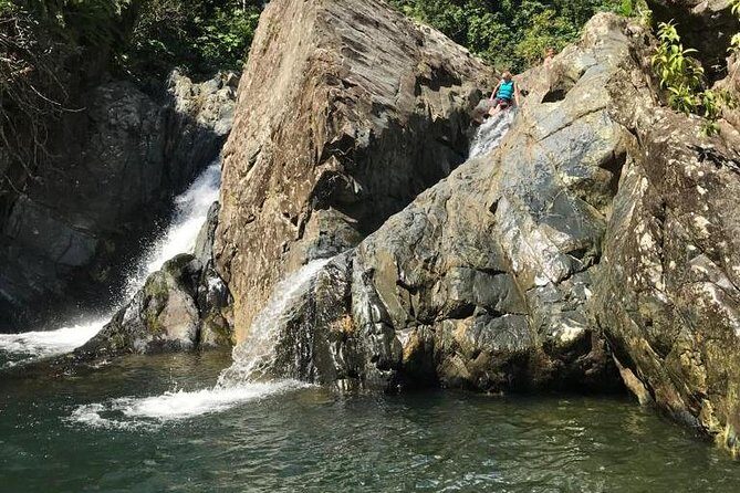Half-Day Yunque Rainforest Waterslide & rope swing Guided Tour - Quick reality check before you go