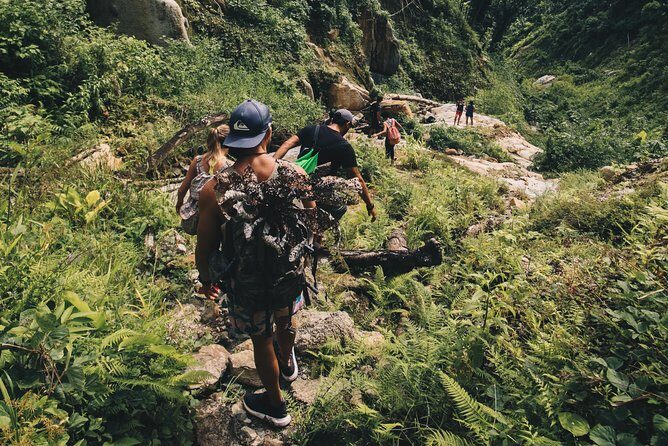 Half-Day Yunque Rainforest Waterslide & rope swing Guided Tour - What makes this tour special (and different)