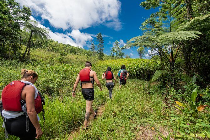 Hike El Yunque Rainforest and Kayak Bio Bay Combo Tour - Key Reasons This Tour Gets Strong Marks