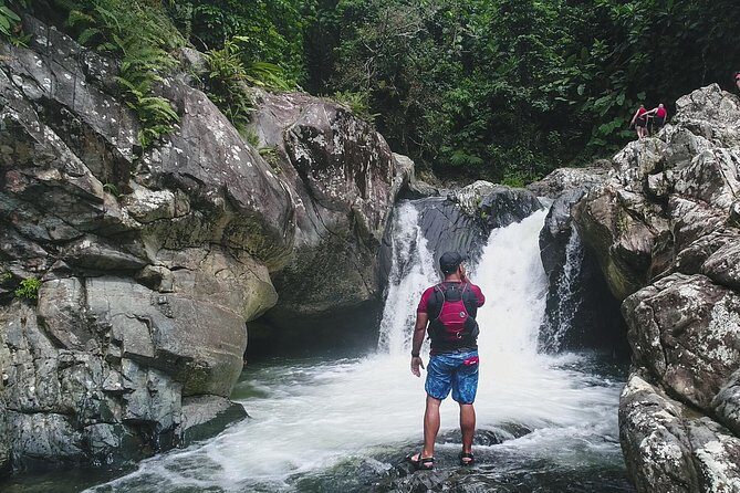 Hike El Yunque Rainforest and Kayak Bio Bay Combo Tour - Why This Combo Tour Works: Rainforest Climb Meets Night Kayak