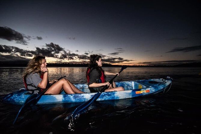 Hike El Yunque Rainforest and Kayak Bio Bay Combo Tour - Price and Value: What $172 Really Buys You