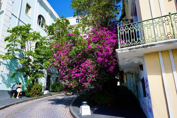Historical Walking Tour of Old San Juan - Cathedral, Puerta de San Juan, and La Rogativa: the old city as a story
