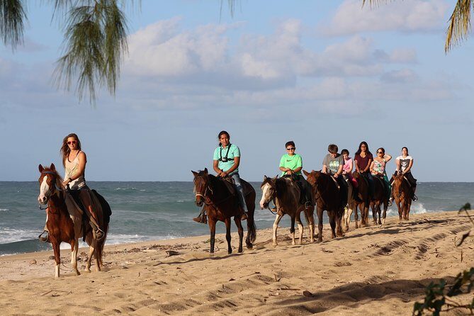 Horseback Riding through Secluded Beaches and Tropical Forests - Key Points Before You Saddle Up