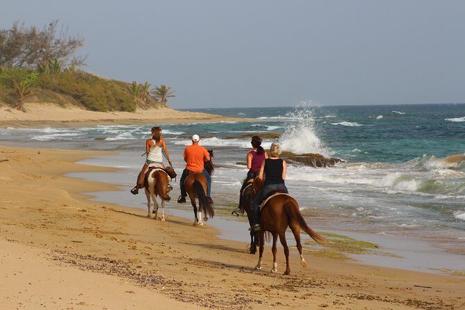 Horseback Riding through Secluded Beaches and Tropical Forests - A 2-hour escape from crowds: why this ride works in Puerto Rico