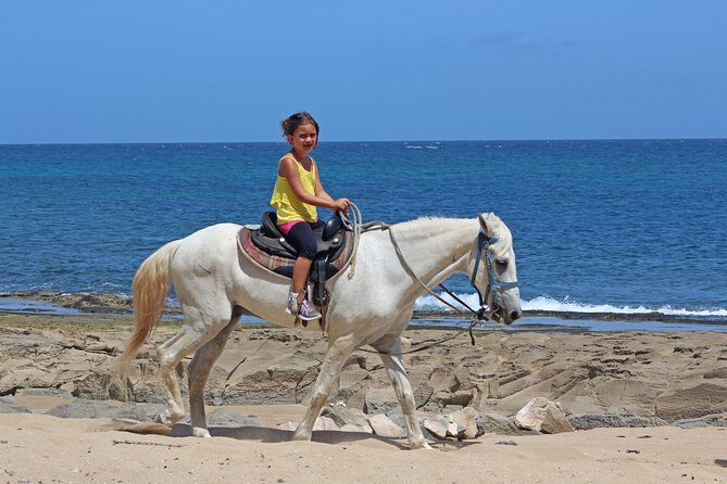 Horseback Riding through Secluded Beaches and Tropical Forests - Riding through forest and farms: the trail experience between beaches