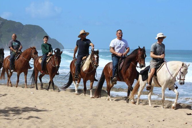 Horseback Riding through Secluded Beaches and Tropical Forests - Survival Beach: cliff caves, a short break, and the best photo window