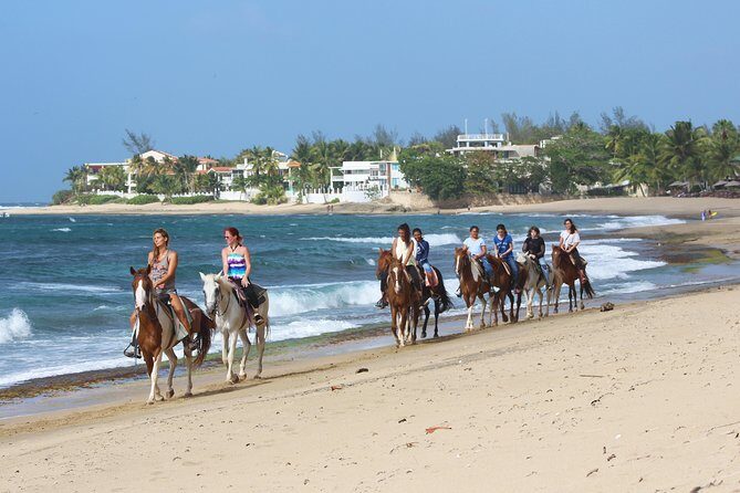 Horseback Riding through Secluded Beaches and Tropical Forests - Pace, professionalism, and what the guide actually does