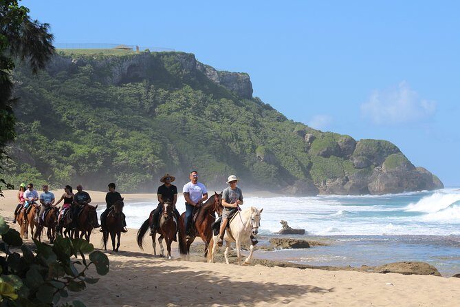 Horseback Riding through Secluded Beaches and Tropical Forests - Price and value: is $106.95 worth it?