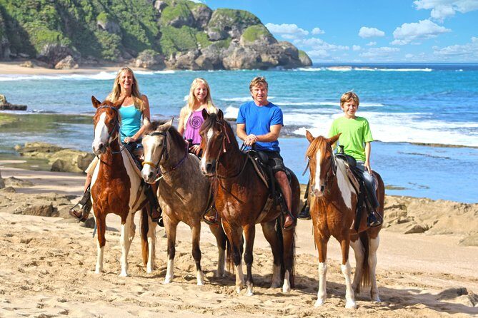 Horseback Riding through Secluded Beaches and Tropical Forests - The horses and coaching: what you should expect if you’ve never ridden