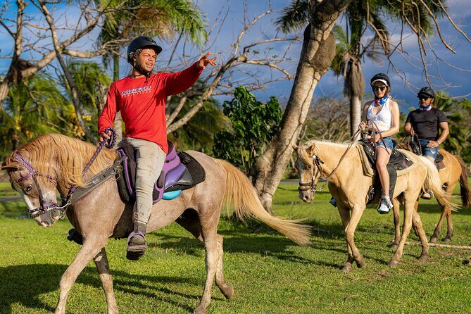 Horseback Riding Tour at Private Ranch - Where the ride starts: Campo Rico Trail Rides and the Mojito Bar meet-up