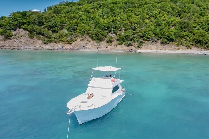 Icacos All-Inclusive Private Boat Tour - Special Rate for Groups - The boat setup: comfort, bathroom access, and a sound-and-toy vibe