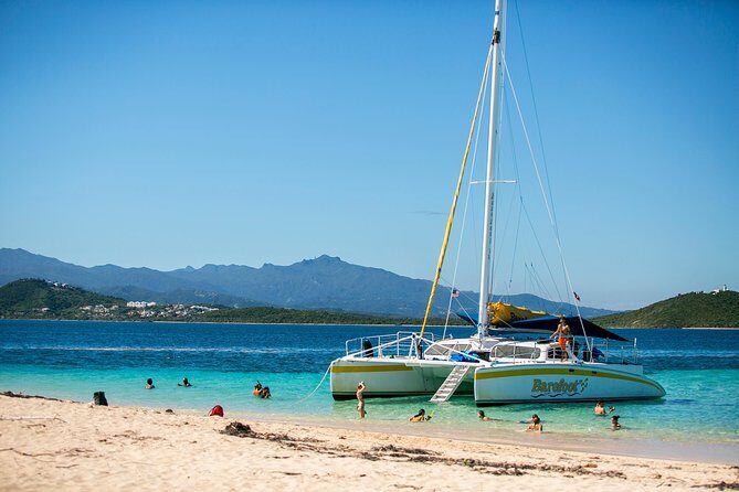 Icacos Deserted Island Catamaran, Snorkel, and Picnic Cruise - Snorkeling around Icacos: what to expect from the reef (and the water)