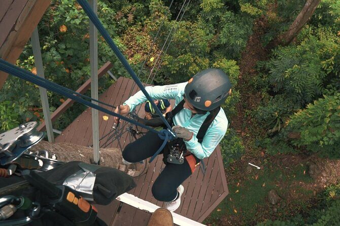 JungleQui Zipline Park at El Yunque National Forest - The rainforest setting: where the zips actually feel different