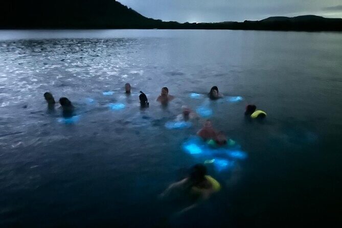 La Parguera Bio Bay Boat Ride and Swimming w/ San Juan Transport - La Parguera Bio Bay: A Night Swim That Actually Lights Up