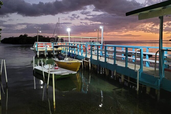 La Parguera Bio Bay Boat Ride and Swimming w/ San Juan Transport - How to Get the Best Glow: Moon, Weather, and Real Expectations