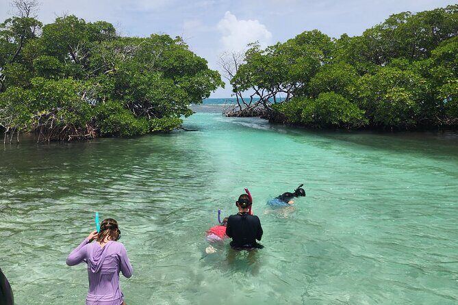 La Parguera Private Boat Charter - Small practical tips that make a difference