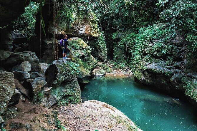 Lagoon Cave and Secluded Beaches Tour in Puerto Rico - Waterfall hike and El Manantial de Tortuguero natural pool: the wet finale