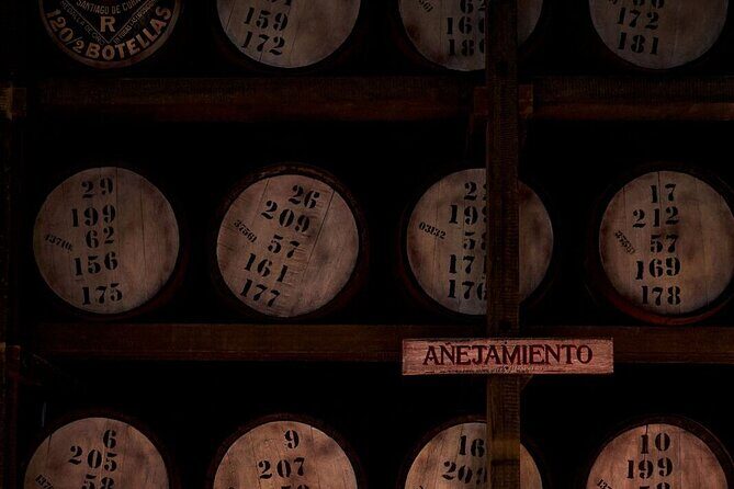 Legacy Tour at Casa BACARDÍ in Puerto Rico - The rum-making story: how they connect heritage to production