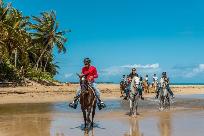 Luquillo Beach Horse Ride from Carabalí Rainforest Adventure Park - Getting to Carabalí Rainforest Adventure Park in Luquillo