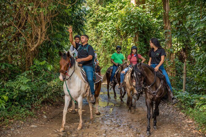 Luquillo Beach Horse Ride from Carabalí Rainforest Adventure Park - The pre-ride lesson and safety briefing (where beginners get confidence)