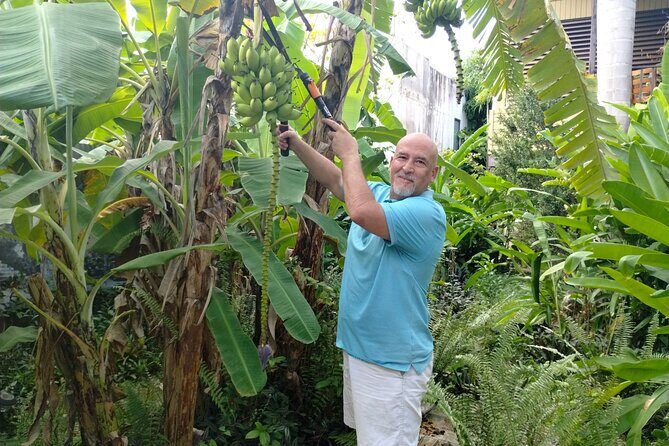 Modern Puerto Rican Cooking Class in a Historic San Germán Home - Inside Tony’s 1912 San Germán home: the setting isn’t an afterthought