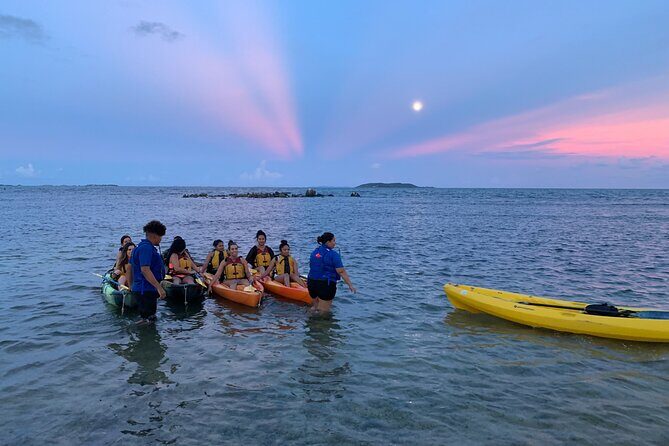 Night Kayaking Experience on Bioluminescent Lagoon in Fajardo - Accessibility on the water: wheelchair-adapted kayaking with real limits