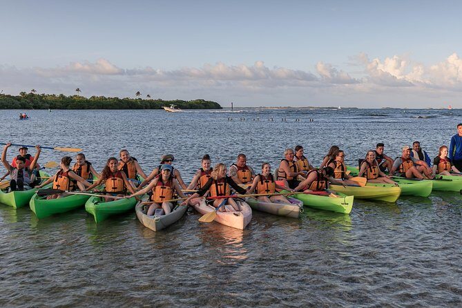 Night Kayaking Experience on Bioluminescent Lagoon in Fajardo - The ecosystem talk: how guides turn a paddle into understanding