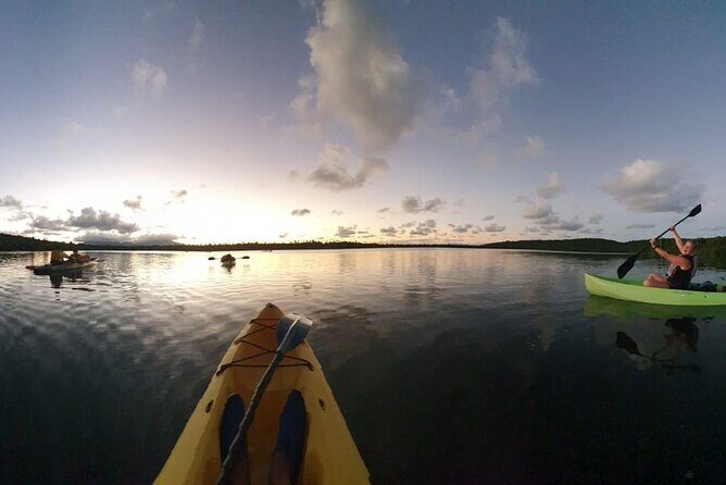 Night Kayaking Experience on Bioluminescent Lagoon in Fajardo - Price and value: what $79 buys you (and what you should bring)