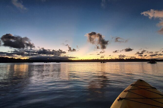 Night Kayaking Experience on Bioluminescent Lagoon in Fajardo - Weather, moon, and expectations: how to get the best chance at real glow