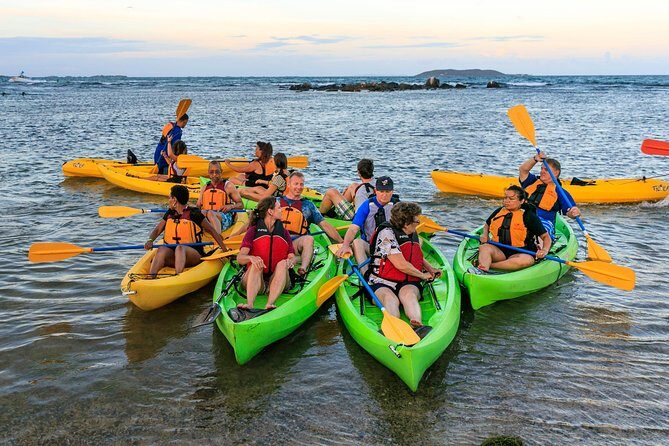 Night Kayaking Experience on Bioluminescent Lagoon in Fajardo - Who should book this night kayaking tour—and who should skip it