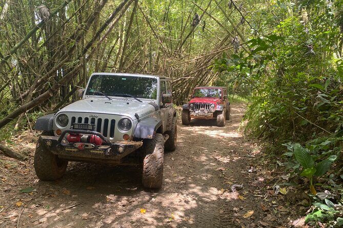 Off-Road Jeep Adventure from Carolina - Key highlights worth the money