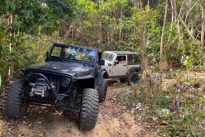 Off-Road Jeep Adventure from Carolina - Your comfort setup: small group size, A/C, and the Jeep tech factor