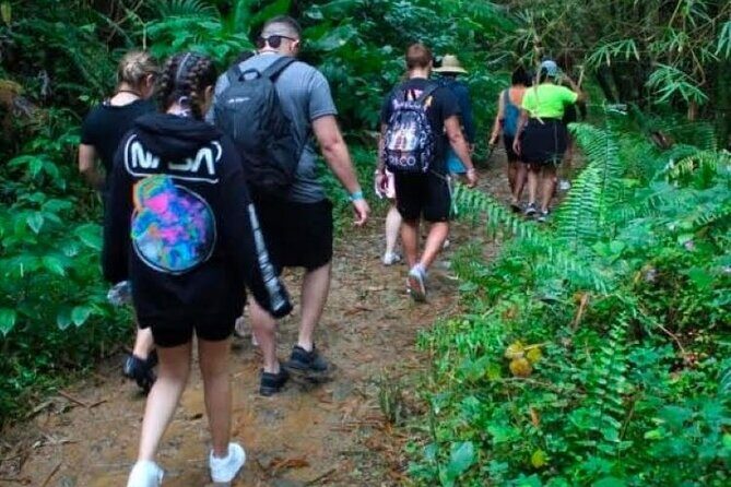 "Off the beaten path" Rain Forest Guided hike with Transportation - Pickup, Group Size, and Why It Changes Your Experience