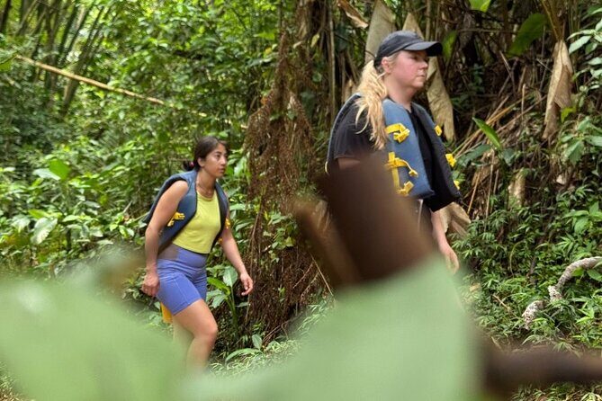 "Off the beaten path" Rain Forest Guided hike with Transportation - What to Wear: Shoes, Suit, Towels, and the Stuff That Saves Your Day