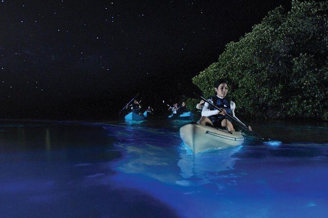 Overnight Bio Bay Kayak Tour in Vieques Island - Key points before you go