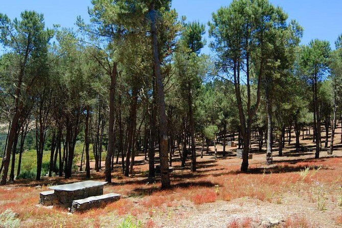 Panorama VIP Tour in Gran Canaria - Los Tilos de Moya Nature Reserve to Moya Church