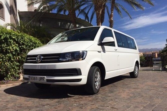 Panorama VIP Tour in Gran Canaria - Guides, Vehicle Comfort, and the Small-Group Reality