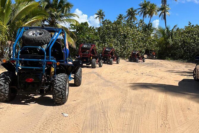 Piñones Beach Buggy + El Yunque Waterfall Adventure - Price and value: is $197 per person a fair deal?